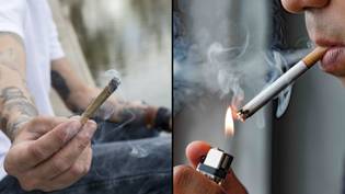新研究发现，吸烟者比吸烟者更有可能患肺部疾病“loading=