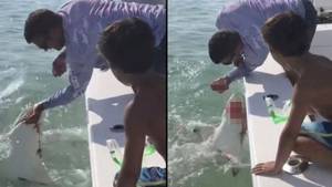 渔夫试图捕捉鲨鱼后失去了手指