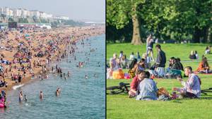 随着Heatwave的途径，英国设定了40年来最热的温度