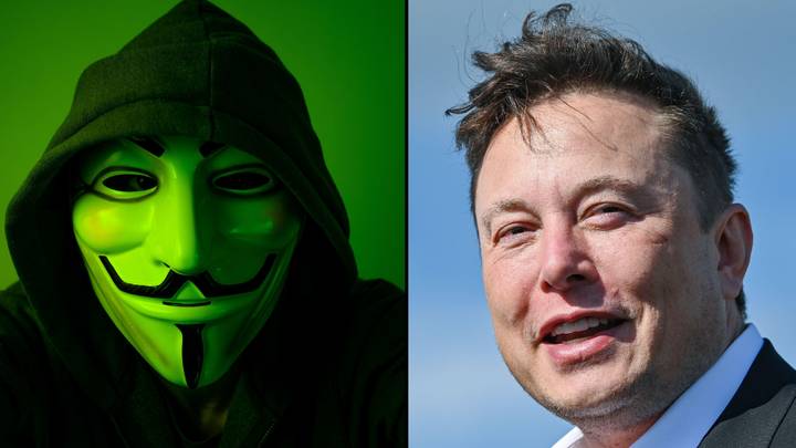 匿名挑战普京战斗后，匿名击中了埃隆·马斯克（Elon Musk）“width=