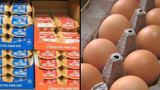 英国人将从周一起将不再能够在超市购买自由放养鸡蛋