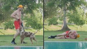 洛根·保罗（Logan Paul）的狗在拍摄锻炼视频时在球上打了他的广场