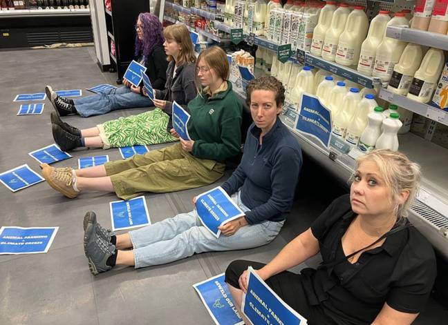 来自动物叛乱的激进分子针对英国超市，并试图防止购物者购买牛奶。信用：Facebook/Animal Rebellion
