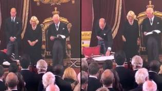 观众声称威廉王子在要求笔时比查尔斯国王更有礼貌“loading=
