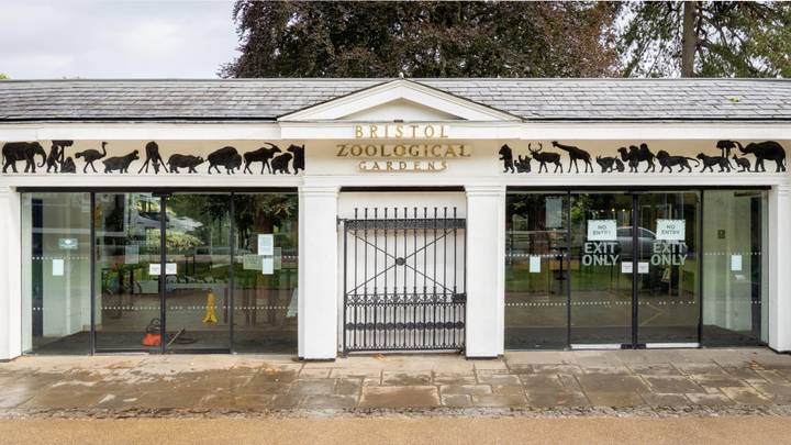 186年后，英国最古老的动物园之一