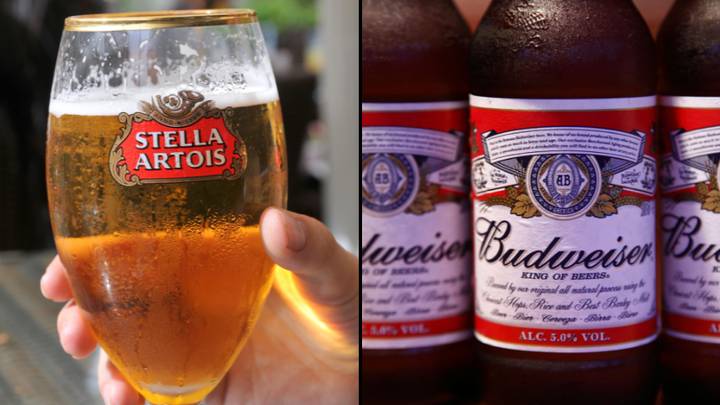 夏季短缺可能会击中像斯特拉·阿托瓦（Stella Artois）和百威（Budweiser）这样的受欢迎啤酒