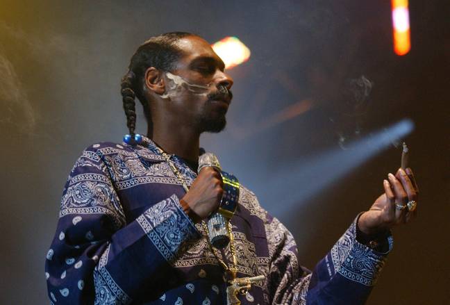 Snoop Dogg是Stoner Royalty也就不足为奇了，但是当他第一次击败卑鄙时，年轻的Snoop是多么令人毛骨悚然。信用：PA图像 / Alamy Stock Photo