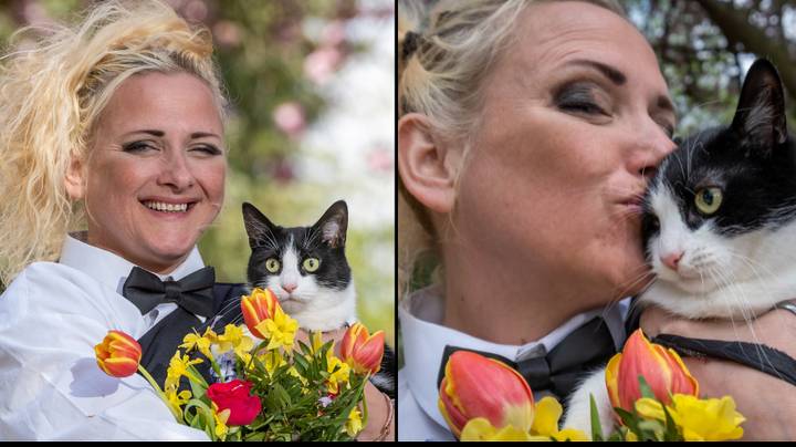 女人嫁给猫阻止房东摆脱她