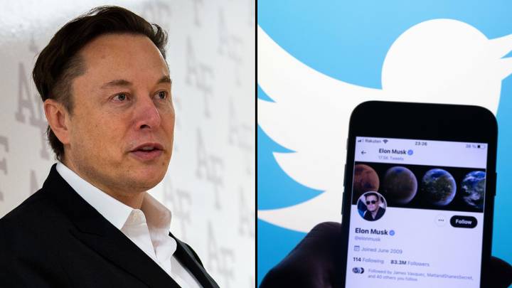 埃隆·马斯克（Elon Musk）接管后，在Twitter上进行了大规模停用