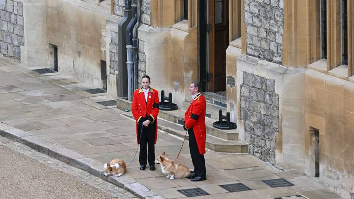 皇后的柯基犬站在温莎城堡外面说最后再见