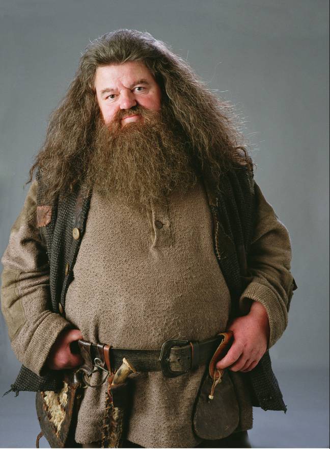 球迷会记得他在哈利·波特（Harry Potter）系列中的海格（Hagrid）。信用：华纳兄弟