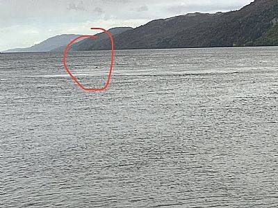 记录在苏格兰高地的尼斯湖中发现了另一个神秘的黑色肿块。信用：官方湖Ness Monster目击者登记册