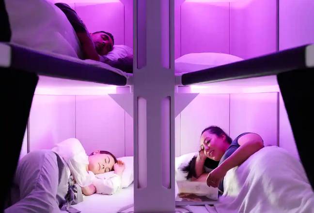 新西兰航空引入了经济乘客可以使用的双层床式睡眠吊舱。信用：新西兰航空
