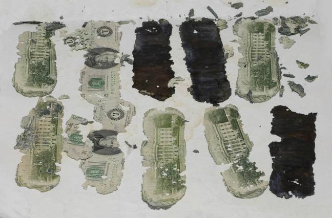 1980年，一个男孩在哥伦比亚河附近发现了5,000美元，这与赎金的序列号相符。学分：联邦调查局