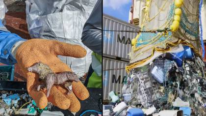 从海洋的大垃圾片中取出了超过100,000公斤的塑料