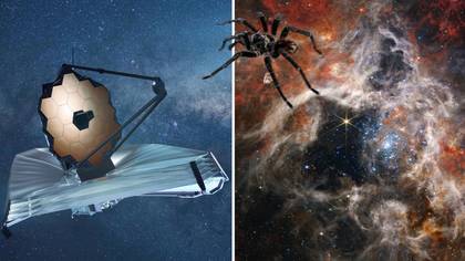 NASA在James Webb望远镜上捕获的巨大太空狼蛛