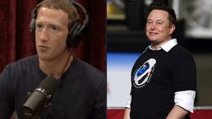 马克·扎克伯格（Mark Zuckerber）撕毁了埃隆·马斯克（Elon Musk）的神经脑芯片计划