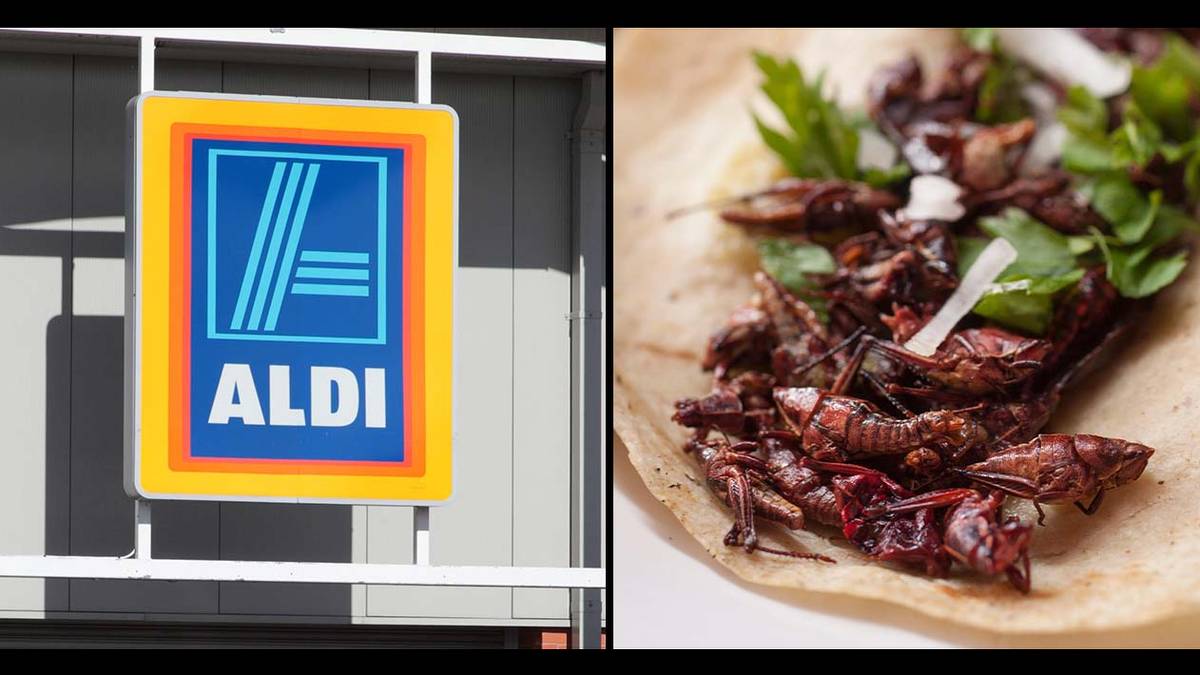 Aldi considering selling edible insects thumbnail