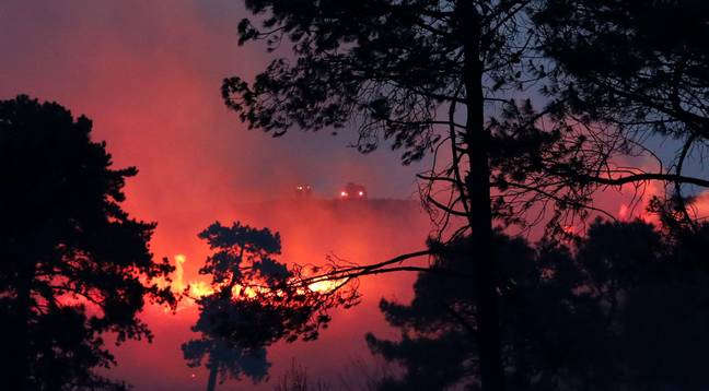 大火被大火摧毁了约620英亩的土地。信用：Alamy