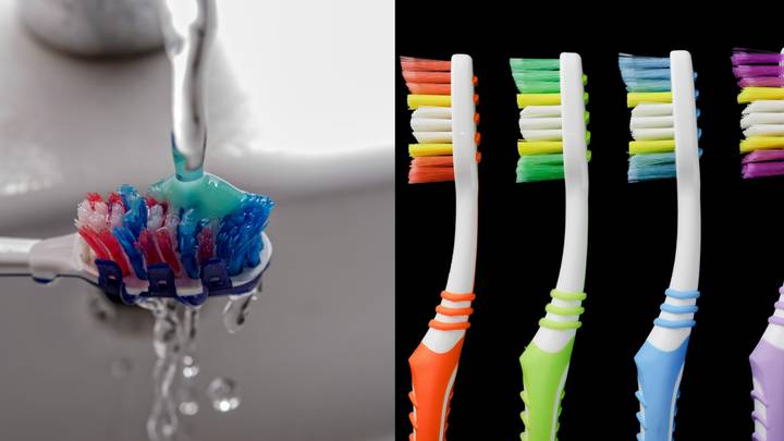 人们只是发现牙刷为何具有不同的颜色刷毛