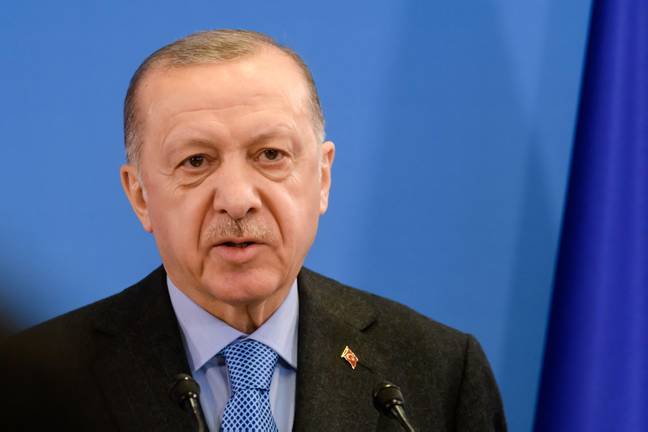 土耳其总统雷切普·塔伊普·埃尔多安（Recep Tayyip Erdogan）支持了这一变化。信用：Alamy