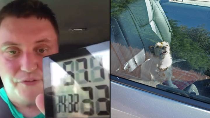 RSPCA在炎热的天气里分享了在汽车上成为狗的感觉可怕的现实