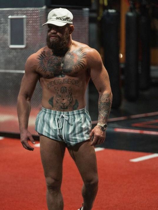 近几个月来，战斗机堆积在肌肉上。学分：Instagram/Conor McGregor