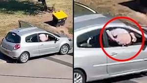 警察释放小偷月球的镜头通过车窗震惊了证人