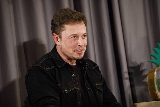 埃隆·马斯克（Elon Musk）现在的净资产为2646亿美元。信用：Alamy