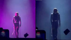 粉丝在音乐会期间向她扔东西后，受到“隐形”盾的保护Lady Gaga
