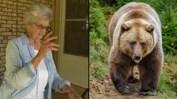 90岁的妇女只用花园椅子武装熊