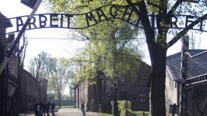 奥斯威辛集中营的旅游者在做纳粹致敬后被拘留为“坏笑话”