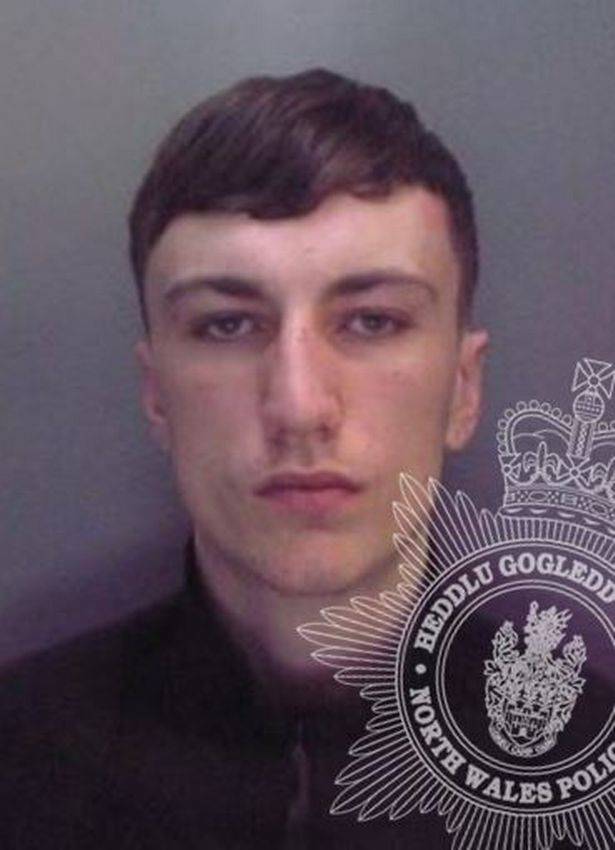 卡勒姆·李·戴维斯（Callum Lee Davies）因袭击被判入狱。信用：北威尔士警察
