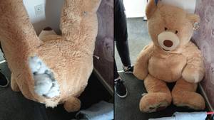 在巨大的泰迪熊发现“呼吸”之后被警察抓获的人被警察抓获