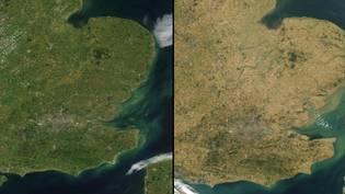 英国的令人震惊的卫星图像分开一年显示热浪的破坏“loading=