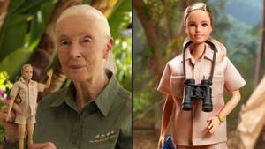 芭比娃娃揭露新玩偶，以纪念传奇保护主义者简·古德尔博士