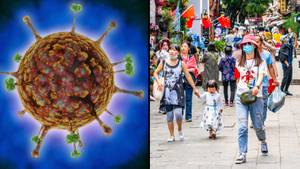 科学家在中国发现了一种新的新型病毒，已经感染了数十人