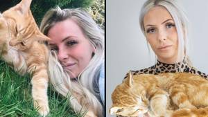 女人在被汽车撞到死猫后花了4,000英镑塞满了她的死猫