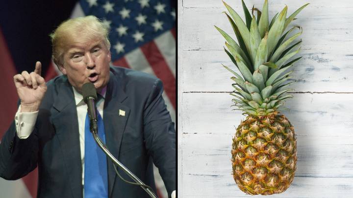 唐纳德·特朗普（Donald Trump）作证说，他担心自己会被“非常危险的”飞菠萝杀死