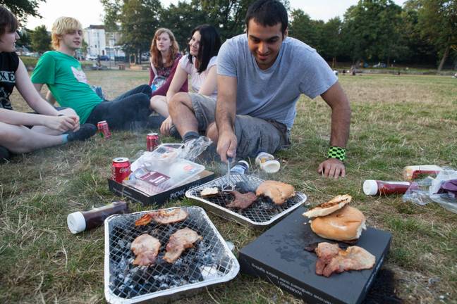 一群朋友在公园里享受一次性烧烤。信用：Alamy