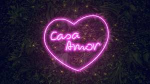 Casa Amor在英语中意味着什么？