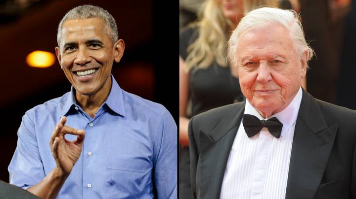 美国前总统巴拉克·奥巴马（Barack Obama）击败了大卫·阿滕伯勒（David Attenborough