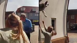 女人用英勇的捕捞救了狗从窗外掉下来