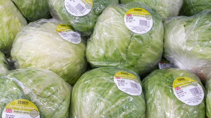 蔬菜价格终于将在澳大利亚下跌