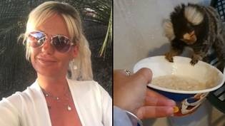 女人在喂食宠物猴烤肉串并提供可卡因后被禁止拥有动物一生