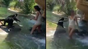 爬进动物园围栏喂动物的女人坚持认为她没错