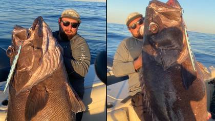 渔夫抓住了绝对巨大的80公斤怪物，但并不是每个人都快乐