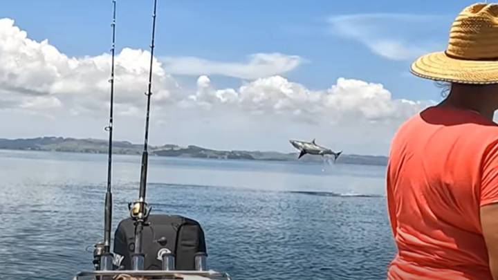 令人难以置信的镜头显示时刻渔夫意外地钩住了大白鲨