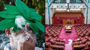 合法化大麻澳大利亚党已在联邦选举中获得了创纪录的选票