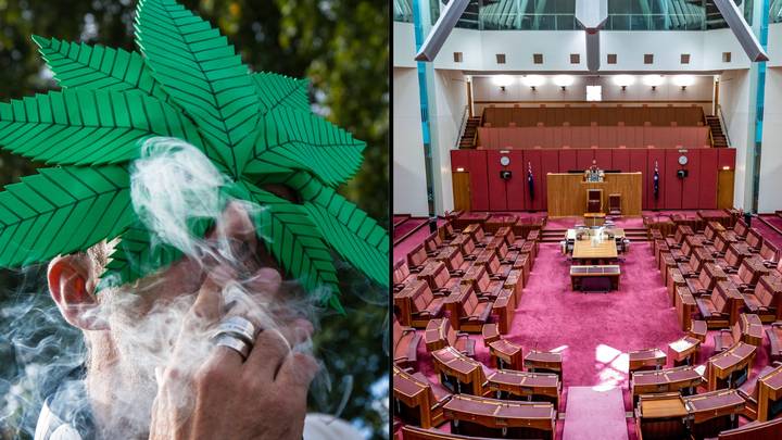 合法化澳大利亚大麻党在联邦选举中获得了纪录的选票